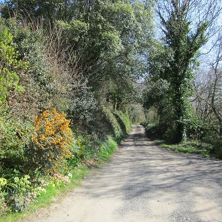 Higher Coombe Bovey Tracey Ngoại thất bức ảnh