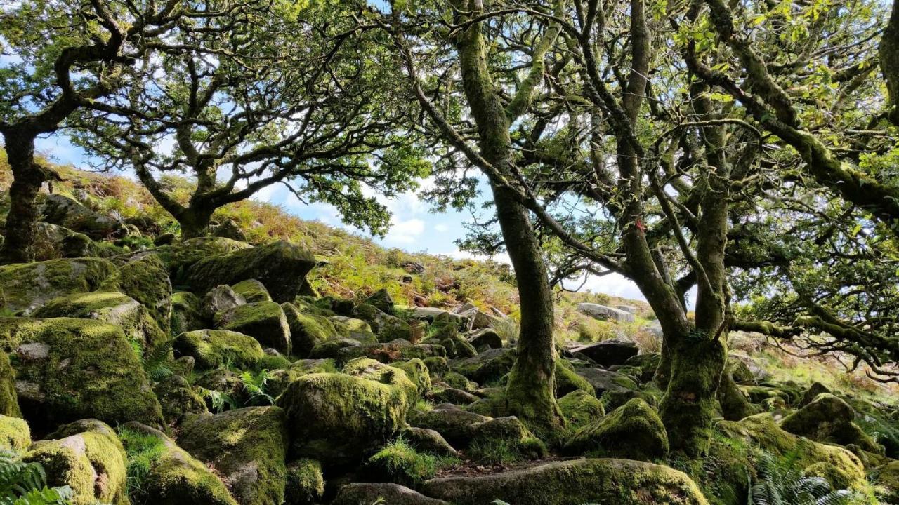 Higher Coombe Bovey Tracey Ngoại thất bức ảnh
