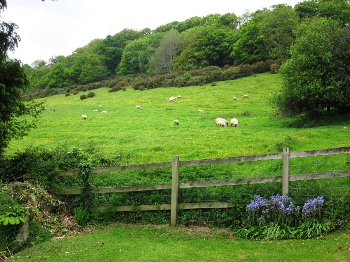 Higher Coombe Bovey Tracey Ngoại thất bức ảnh